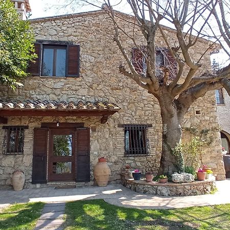 All'Ombra Di San Damiano アッシジ エクステリア 写真
