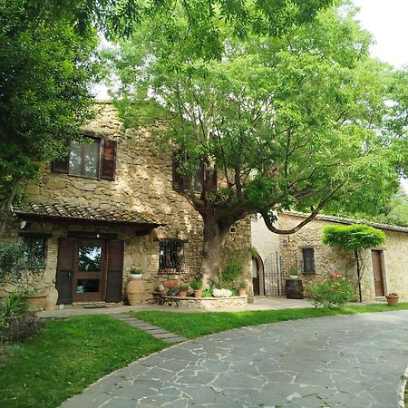 All'Ombra Di San Damiano アッシジ エクステリア 写真