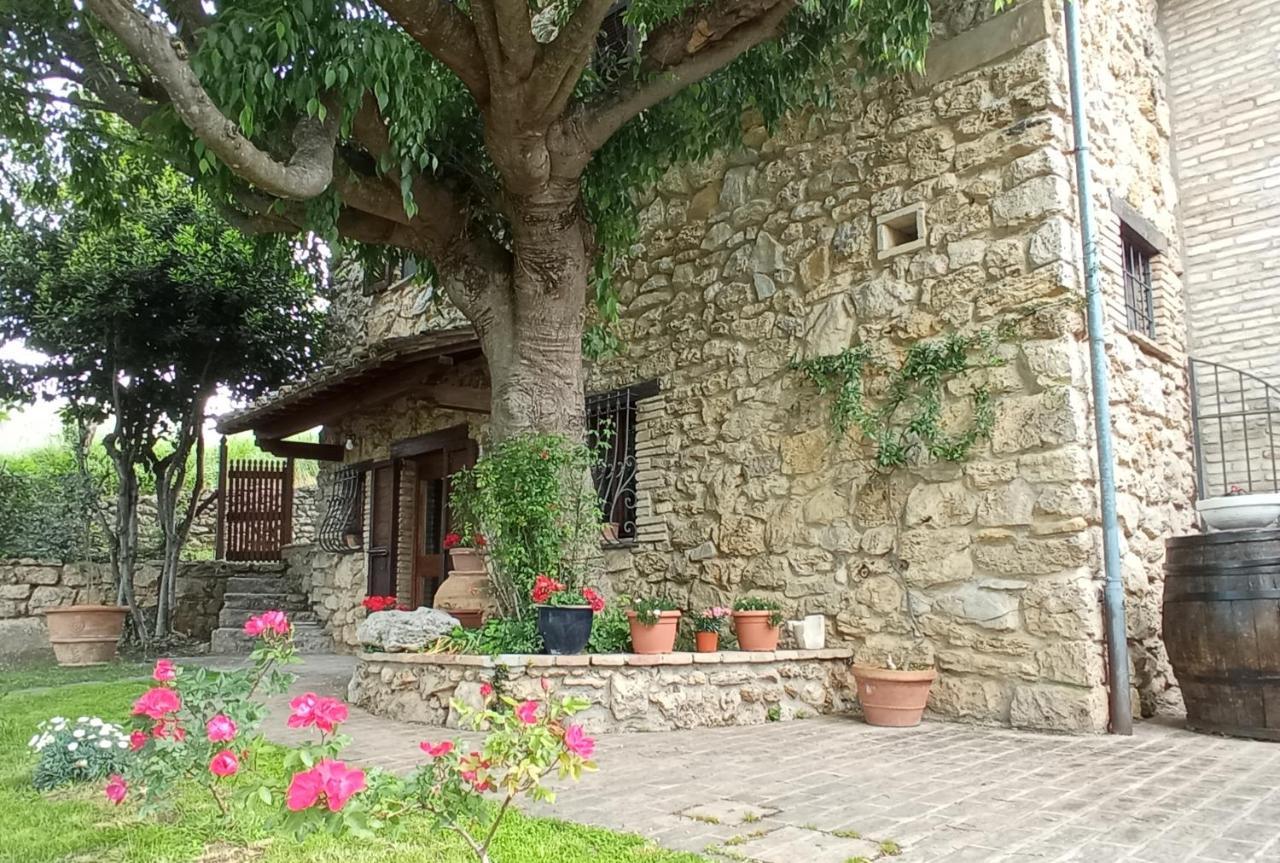 All'Ombra Di San Damiano アッシジ エクステリア 写真