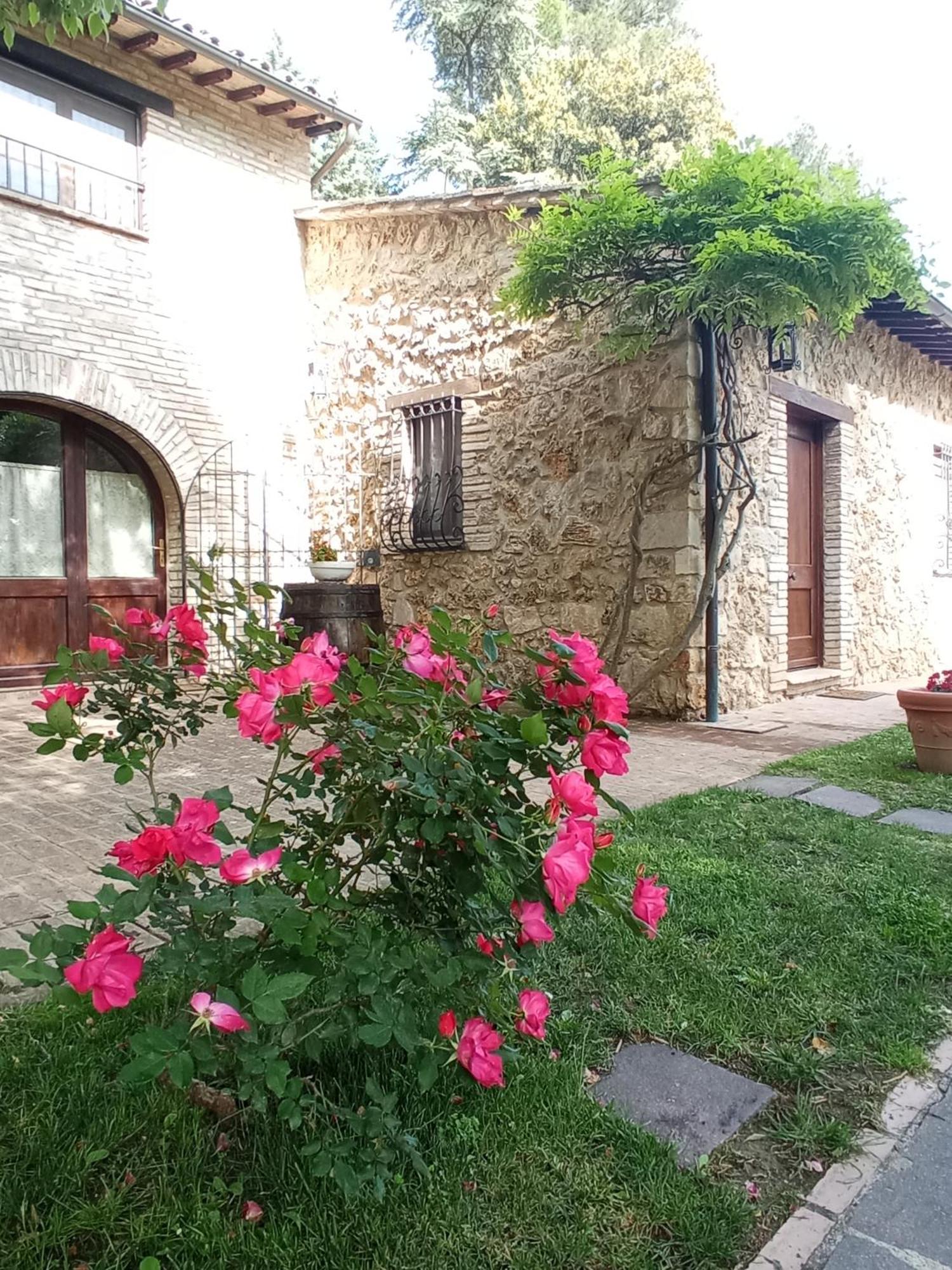 All'Ombra Di San Damiano アッシジ エクステリア 写真