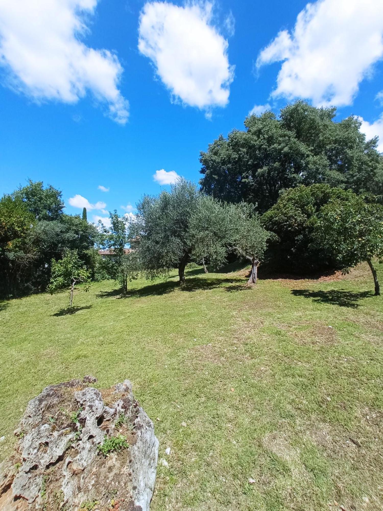 All'Ombra Di San Damiano アッシジ エクステリア 写真