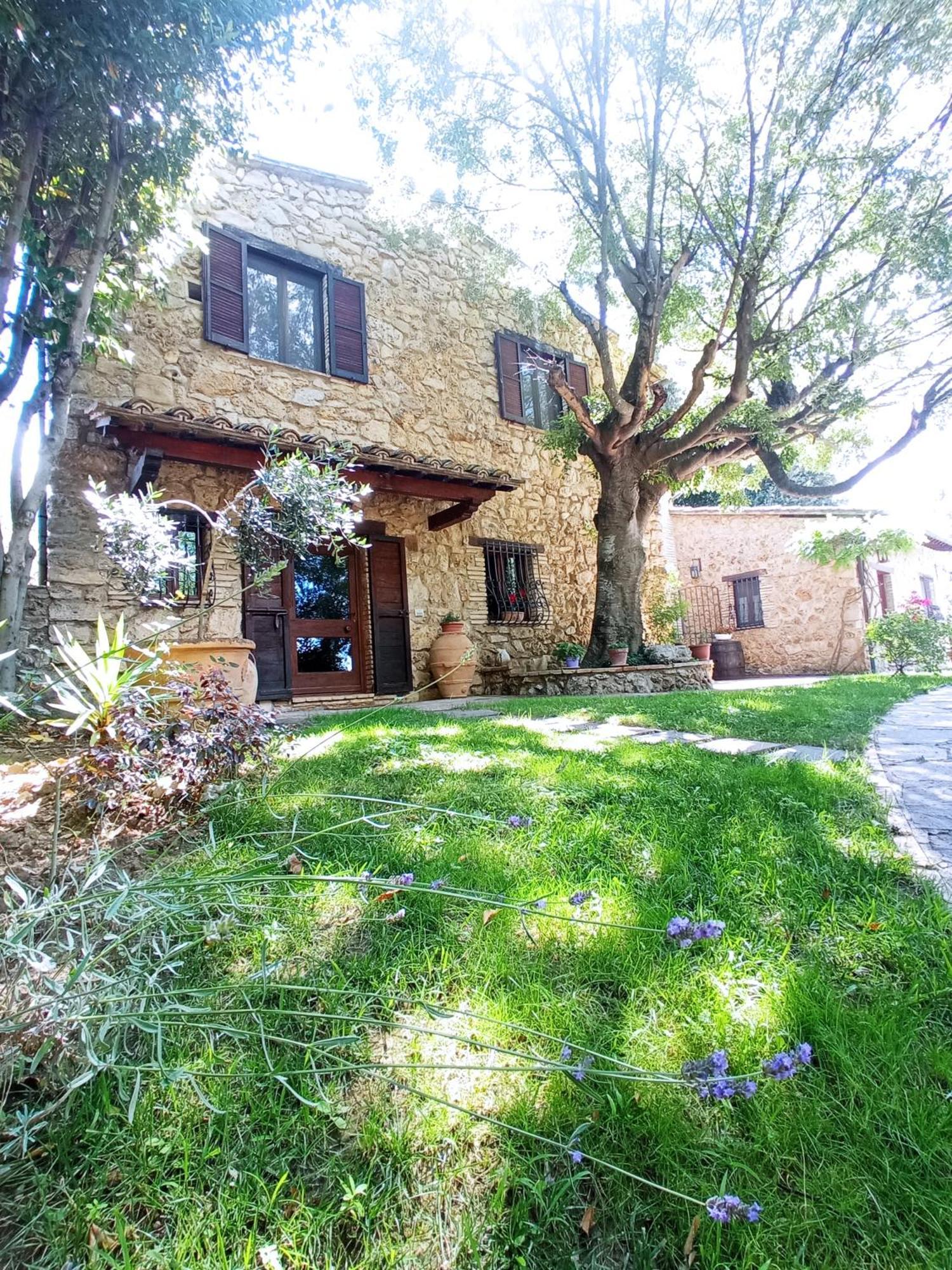 All'Ombra Di San Damiano アッシジ エクステリア 写真