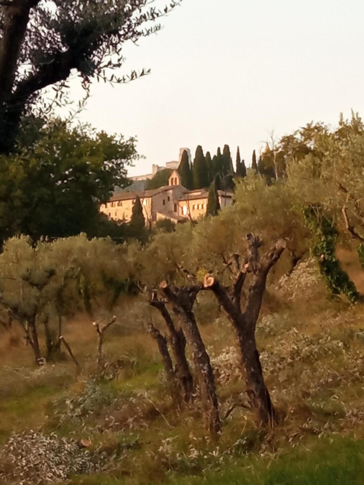 All'Ombra Di San Damiano アッシジ エクステリア 写真
