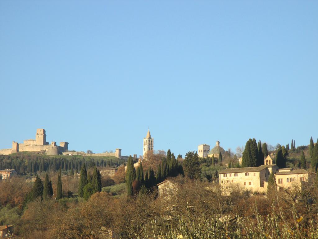 All'Ombra Di San Damiano アッシジ エクステリア 写真